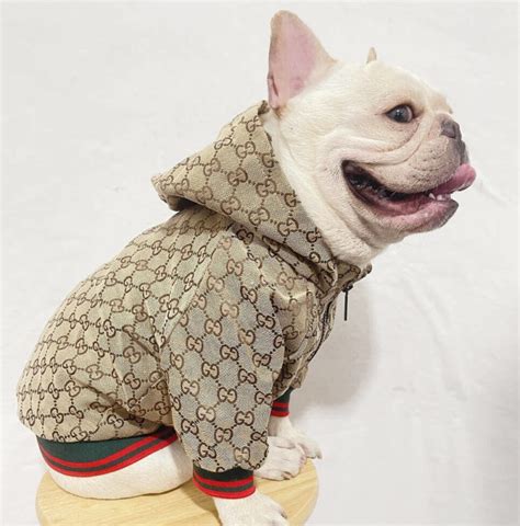 the dog face gucci|Gucci dog hoodie.